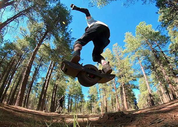 Aaron Alexander Bonking A Stump