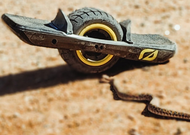 Snake Under Onewheel